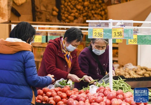 推动经济回稳向上 全国多地加快复工复产扫描