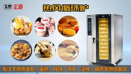 正麦热风循环炉电力燃气烤炉产品介绍品牌工厂
