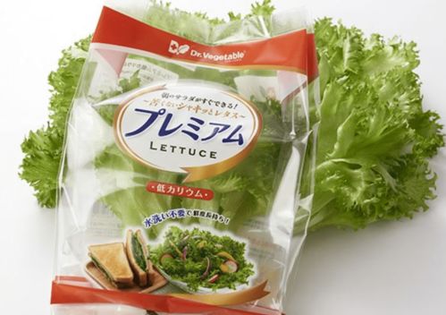 焦点 植物工厂 产品已进入日本寻常百姓家