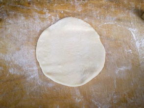 香酥饼的做法,香酥饼怎么做好吃,香酥饼的家常做法 柔蓝水晶