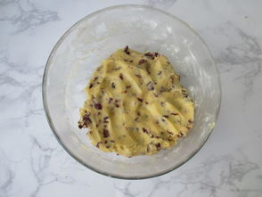 蔓越莓奶香酥饼的做法,蔓越莓奶香酥饼怎么做好吃,蔓越莓奶香酥饼的家常做法 苹果小厨